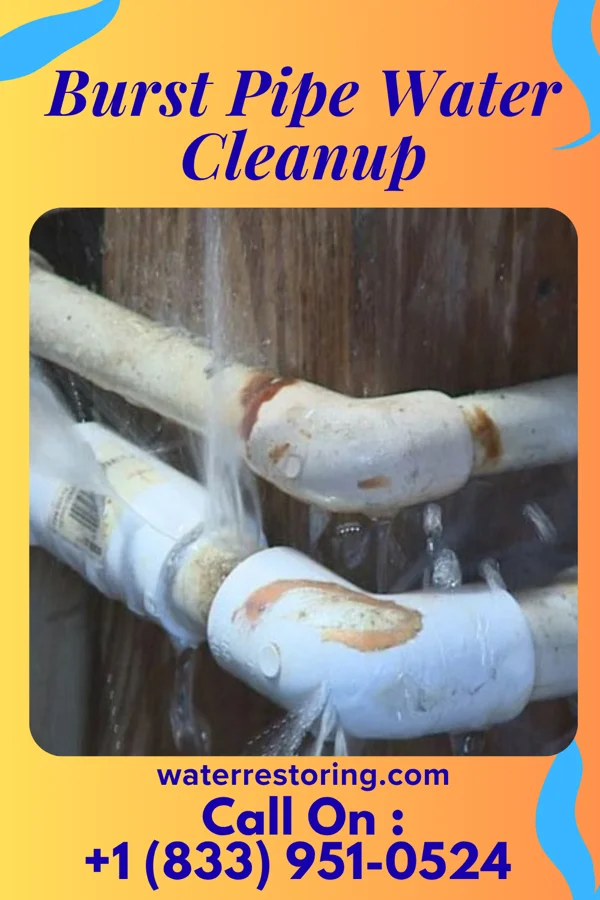 Burst Pipe Water Cleanup in Crescent Springs, KY