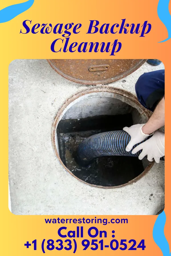 Sewage Backup Cleanup in Crescent Springs, KY