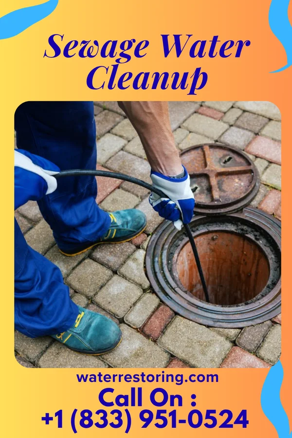Sewage Water Cleanup in Crescent Springs, KY